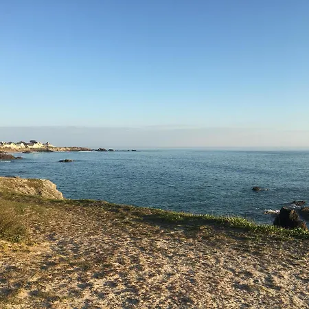 Le Lichen De La Hotell