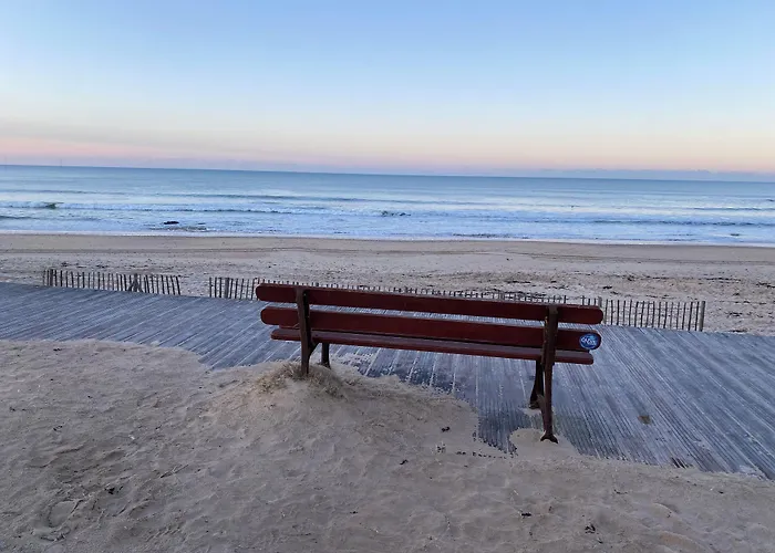 Le Lichen De La Batz-sur-Mer
