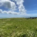 Le Lichen De La 3*