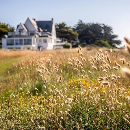 酒店 青苔海洋酒店 3*