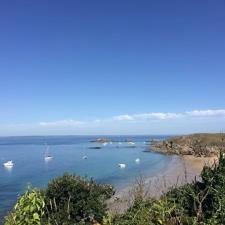 Le Lichen De La 3*