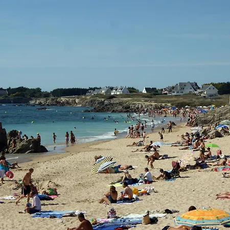 Le Lichen De La Batz-sur-Mer