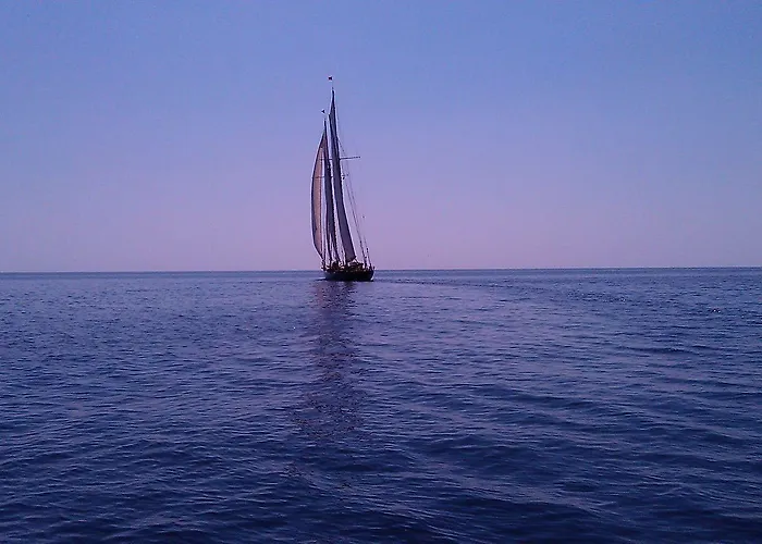 Le Lichen De La Hotel