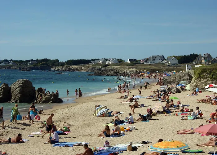 Le Lichen De La Batz-sur-Mer